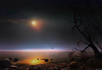 At sunset / ***
