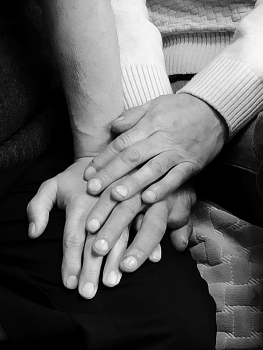 Hands / ***