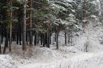Pre-winter / ***