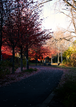 Riverfront Red / Directional light on a pathway through Riverfront Park.