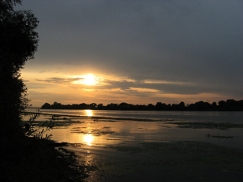 The old lake / ***