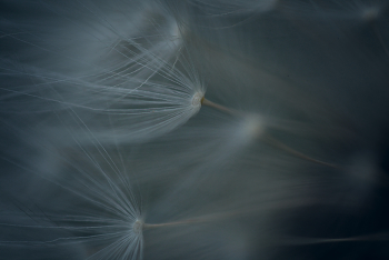 Forthcoming flight / ***