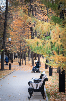 In the fall the park ... / ***