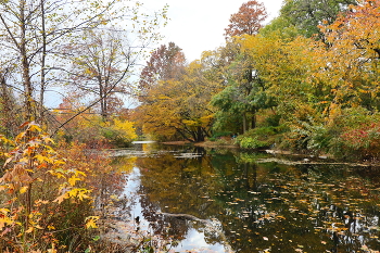 Autumn / ***