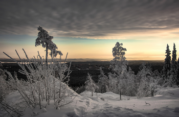 Evening light / ***