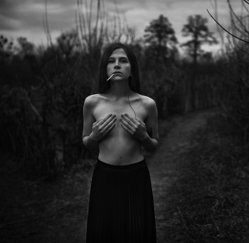 Wrong Turn / ***