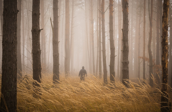 November fog / ***