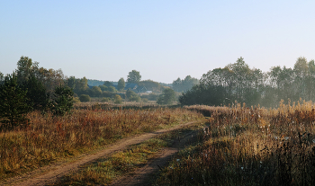 Early morning / ***