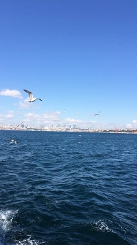 beatiful sea / sea