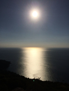 sun / sea