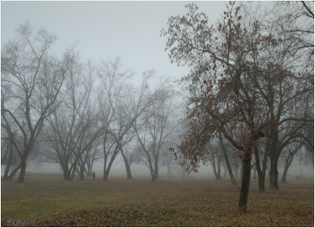 im Herbstnebel / [img]https://i.imgur.com/2gK3oVr.jpg[/img]