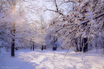 Winter road / ***