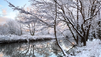 Early winter. / ***