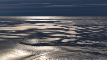 Blue Horizon / ***
