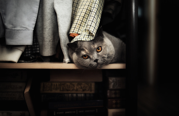  / ... big smart head..)
