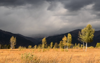 Before the storm / ***