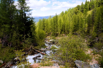 Mountain river / ...