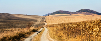 Weg / ***
