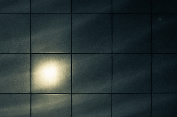 Life around / ***