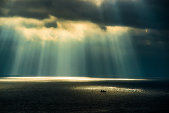 Not Alone / ***