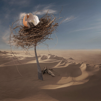 Nest / ***