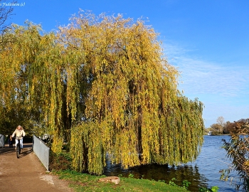 Alster Hamburg / https://www.youtube.com/watch?v=YdvFUdm0nQ0&amp;list=PLVht4TW8GcgPmSozBwFnZqc7mDa-yrlxz
https://www.youtube.com/watch?v=shvDCXIyNb0&amp;list=PLVht4TW8GcgPmSozBwFnZqc7mDa-yrlxz&amp;index=2
https://www.youtube.com/watch?v=NtnlTtRceUs&amp;list=PLVht4TW8GcgPmSozBwFnZqc7mDa-yrlxz&amp;index=3
https://www.youtube.com/watch?v=PZXeb1sykTk&amp;list=PLVht4TW8GcgPmSozBwFnZqc7mDa-yrlxz&amp;index=6
https://www.youtube.com/watch?v=FUnJ6Mt1G68&amp;list=PLVht4TW8GcgPmSozBwFnZqc7mDa-yrlxz&amp;index=7
https://www.youtube.com/watch?v=FUnJ6Mt1G68&amp;list=PLVht4TW8GcgPmSozBwFnZqc7mDa-yrlxz&amp;index=8
https://www.youtube.com/watch?v=rfwK750jMcs&amp;list=PLVht4TW8GcgPmSozBwFnZqc7mDa-yrlxz&amp;index=10