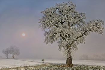  / Morgenspaziergang