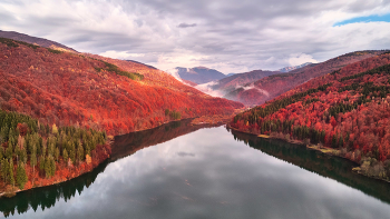 Autumn Tereblya / ***