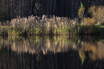 smooth surface / ~~~