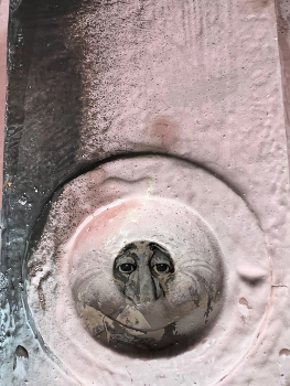 Head / Take a look