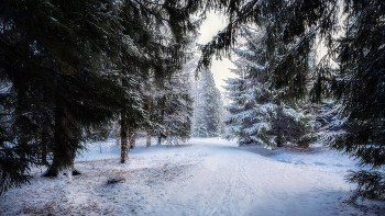 Winter road / ***