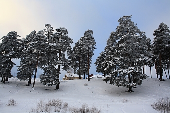 Winter / " " "