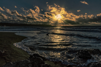 Evening at Sea / ***