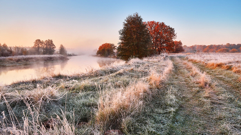 Frosty Morning / ***