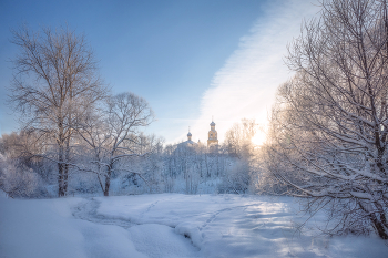 winter / ***