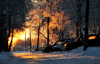 Evening light. / ***