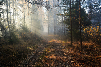 In the morning / ***