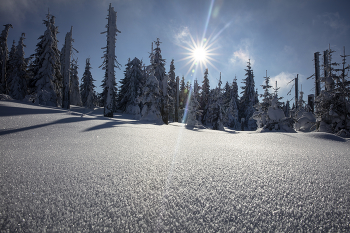 Sunstar over Mount Lusen Bavarian Forest Nature Reserve / Sunstar on a blue sky winter day over Mount Lusen in the Bavarian Forest Nature Reserve, Germany, Europe
