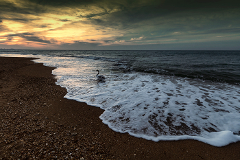 Evening at Sea / ***