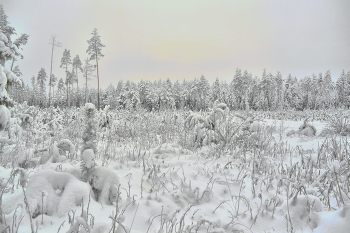 After snowfall / ***