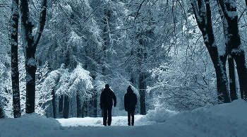 Winter walks ... / ***