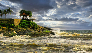 In the ocean / ***