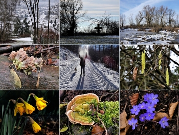 1/2021 / das Jahr in Bildern, 3 Fotos je Monat