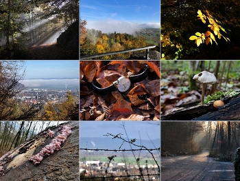 4/2021 / das Jahr in Bildern, 3 Fotos je Monat
