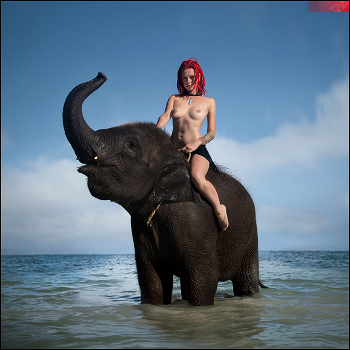 JUMBO © / ***