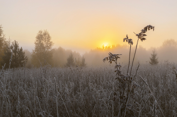 frosty dawn / ***