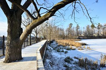 In the old park / ***