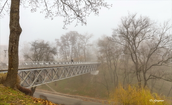 Misty Morning, morning sedoe ... / ***