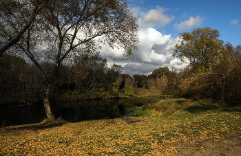 Autumn mood ... / ...