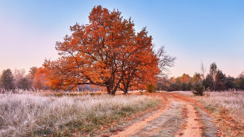 Autumn road / https://max-helloween.livejournal.com/211907.html